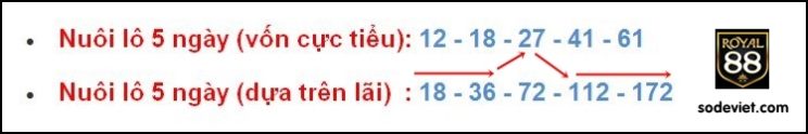 Kinh nghiệm chia tiền nuôi lô đơn giản cho ngắn hạn và dài hạn