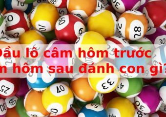 Đầu lô câm hôm trước hôm sau đánh con gì