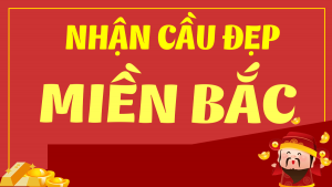 Dự đoán xổ số 14/11